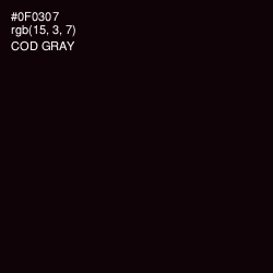 #0F0307 - Cod Gray Color Image